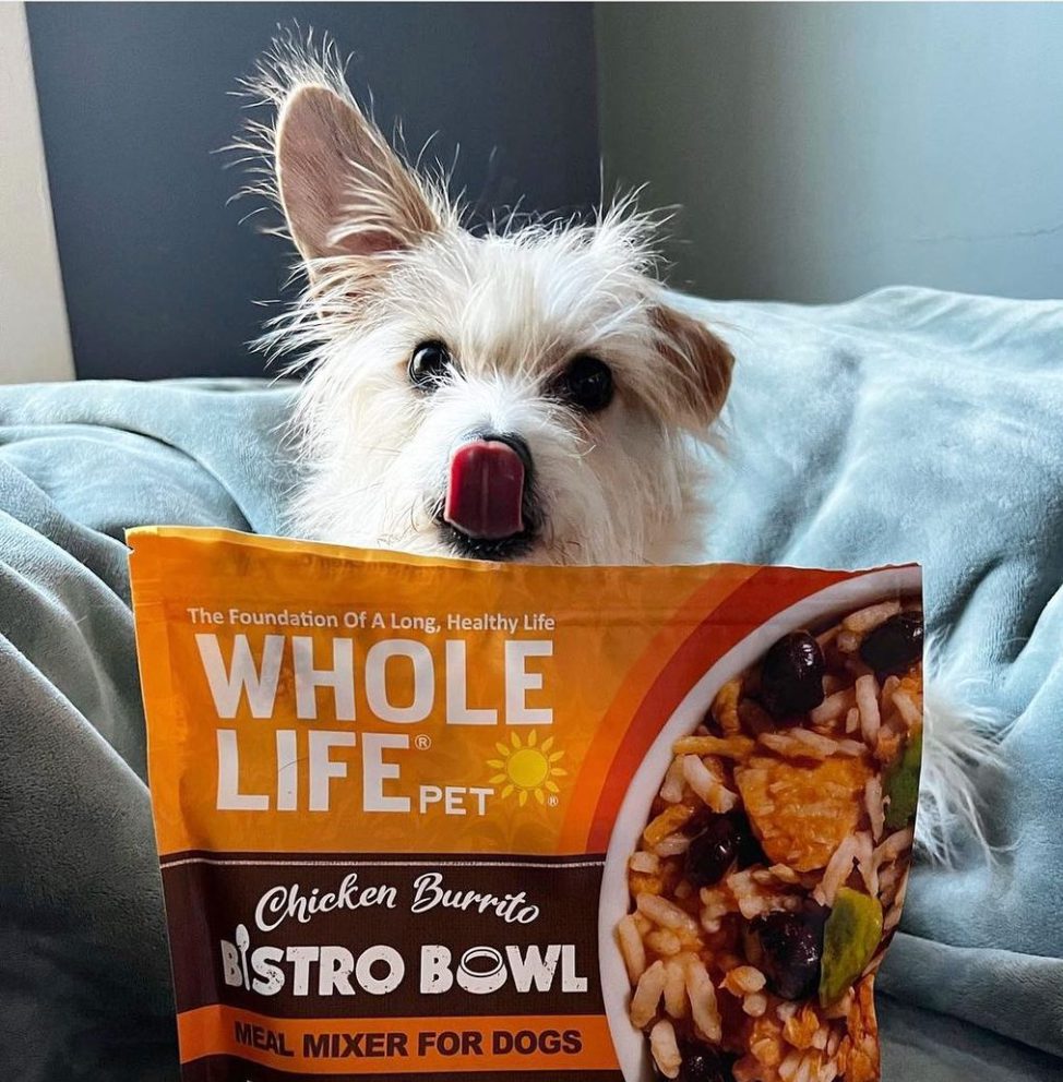 Whole-Life-Pet-dog-image whole life pet dog