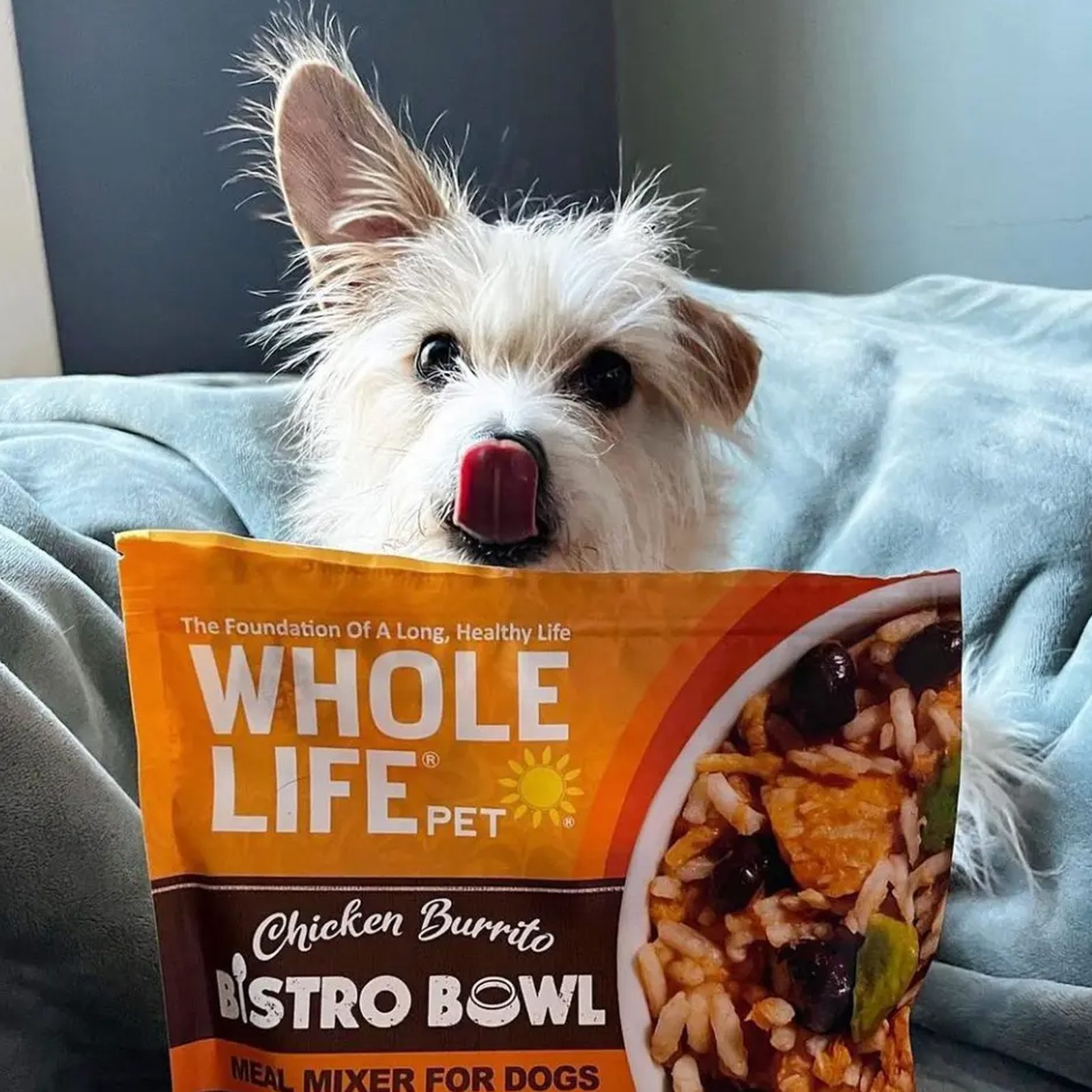 puppy holding Whole Life Pet food bag